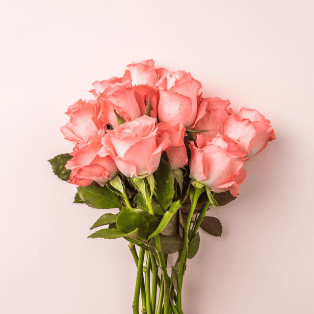 bouquet de fleurs naturelles CONTINENTALES
